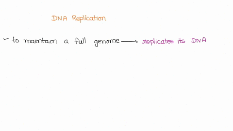 why-is-it-important-that-dna-replication-take-place-before-cell-division-what-would-happen-if-cell-division-of-a-body-cell-took-place-without-dna-replication-or-when-dna-replication-was-inco-12932