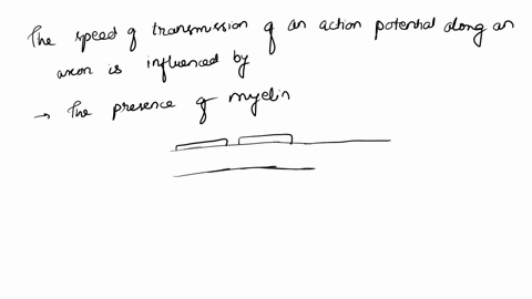 the-speed-of-transmission-of-an-action-potential-along-an-axon-is-influenced-by-a-the-presence-of-my-51258