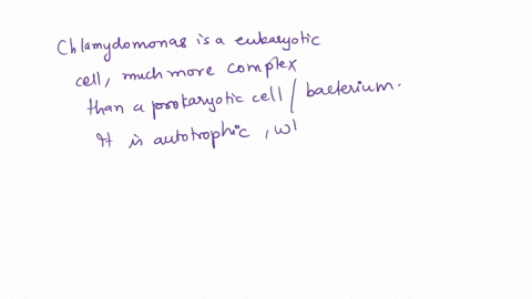 chlamydomonas-is-a-unicellular-green-alga-how-does-it-differ-from-a-photosynthetic-bacterium-which-2-37273