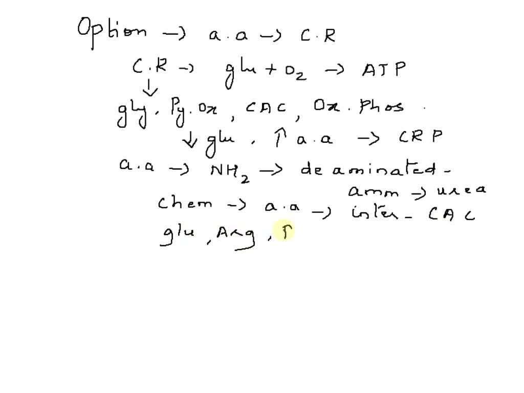 SOLVED Amino acids can enter the cellular respiration pathway at the