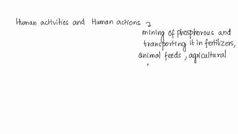 what-are-some-human-impacts-on-the-phosphorus-cycle-72678