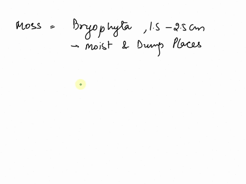 moss-life-cycle-1-are-gametes-in-mosses-haploid-or-diploid-2-are-they-produced-by-meiosis-or-mitosis-3-is-the-dominant-generation-the-gametophyte-or-the-sporophyte-60403