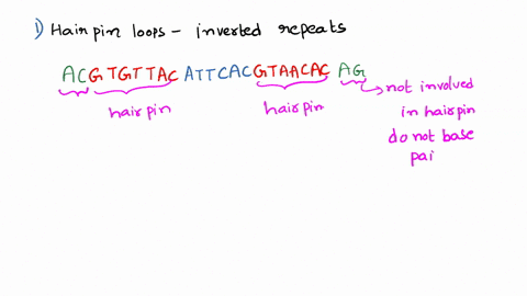 before-after-cells-in-culture-have-been-exposed-to-a-large-dose-of-uv-light-what-is-the-specific-result-of-this-treatment-what-is-the-general-mechanism-used-to-repair-this-damage-what-would-06899