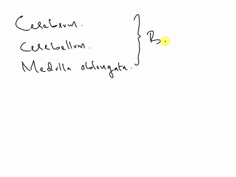 name-the-structure-that-connects-the-cerebrum-cerebellum-and-medulla-oblongata-64298