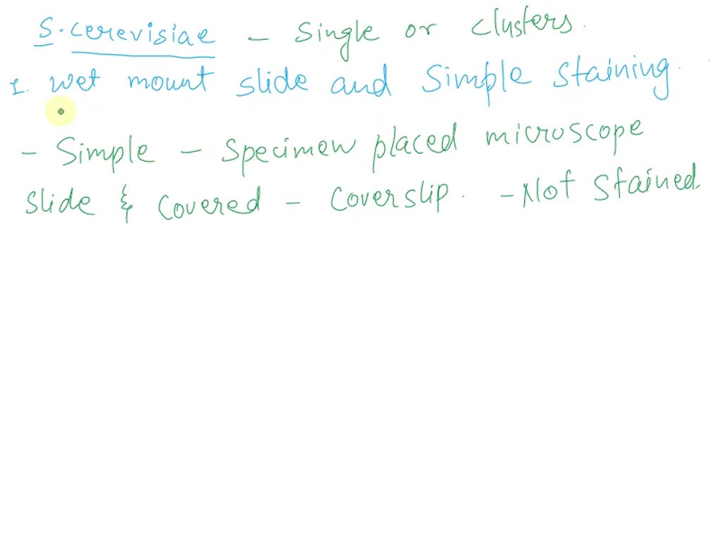 SOLVED Complete the following table Type of Cell Shape S. epidermidis B. subtilis Size