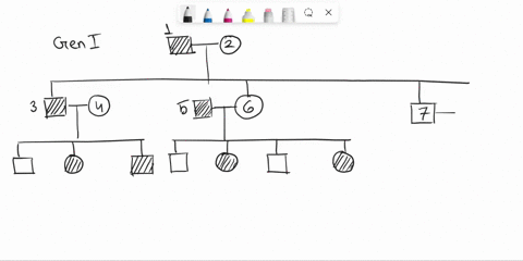 practice-autosomal-pedigree-identify-the-pattern-of-inheritance-whether-the-trait-is-dominant-or-recessive-by-assigning-genotype-t0-each-individual-use-capital-and-lower-case-versions-of-the-28532
