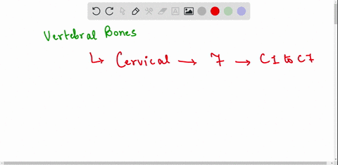 describe-a-typical-vertebra-and-distinguish-among-thecervical-thoracic-and-lumbar-vertebrae-15725