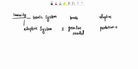 compare-and-contrast-between-the-properties-of-the-innate-immune-system-and-the-adaptive-immune-system-13854