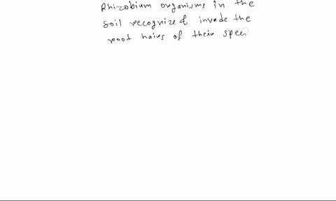 helpmeeeeee-barteria-tared-rhizobium-live-in-nodules-on-the-roots-of-the-soybean-plant-can-use-the-roots-of-the-plant-provide-rhizobium-with-rhizobium-converts-nitrogen-in-the-air-into-a-for-98707