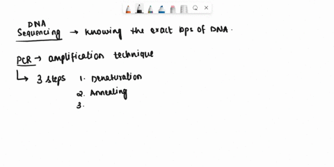 explain-the-importance-of-polymerase-chain-reaction-pcr-during-dna-sequencing-process-01387