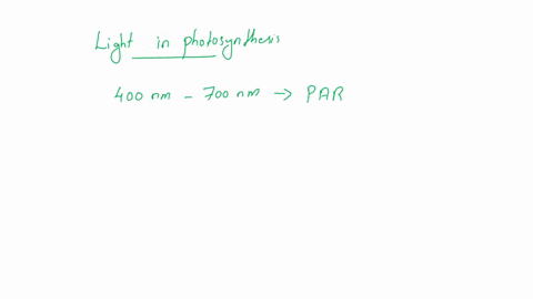 lab-analysis-investigating-photosynthesis-results-ofthe-experiment-for-the-cffect-of-different-light-condi-discuss-how-the-class-average-your-predictions-from-table-6-2-tions-photosynthesis-50216