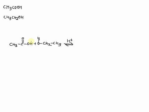 1-write-the-reaction-mechanism-for-the-fisher-esterification-reaction-between-acetic-acid-and-ethanol-in-the-presence-of-an-acid-catalyst-10-points-oh-hzo-oh-2-methylbutanoic-acid-octanol-oc-67246