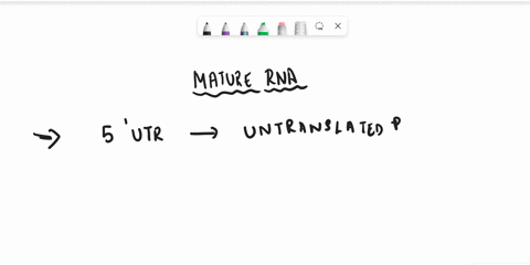48-which-of-these-would-not-be-found-as-part-of-a-mature-mrna-a-tata-box-b-3-utr-c-polya-tail-d-all-are-part-of-a-mature-mrna-e-none-are-part-of-mature-mrna-11604