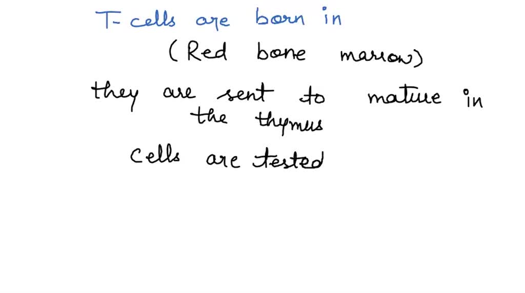 SOLVED Place a single word into each sentence to make it correct