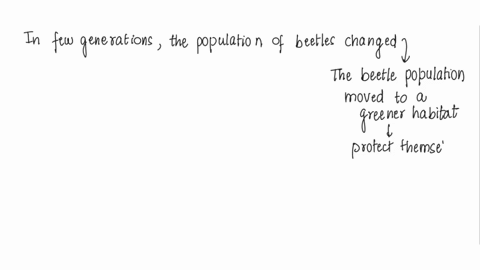 in-a-few-generations-this-population-of-beetles-changed-which-is-the-most-likely-explanation-for-the-change-61283