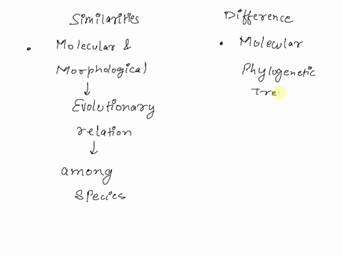 what-are-the-similarities-and-differences-between-a-morphological-phylogenetic-tree-and-a-molecular-one-47676
