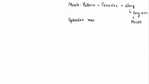 a-muscle-that-has-a-pattern-of-fascicles-running-along-the-long-axis-of-the-muscle-has-which-of-the-01882