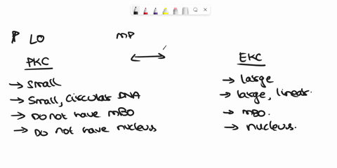 describe-the-differences-in-prokaryotic-and-eukaryotic-cells-how-have-the-characteristics-of-each-kind-of-cell-put-limitations-and-provided-opportunities-for-the-survival-and-divergence-of-m-52515