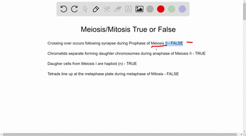 question-2-match-true-or-false-for-each-of-the-following-statements-concerning-mitosis-and-meiosis-crossing-over-occurs-following-synapsis-during-prophase-of-a-false-meiosis-il-b-true-chroma-80935
