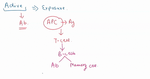 hon-huti-uaa-f1en-cyma-hullast-chapter-17-adaptive-immunity-immunuation-ob-171-active-danr-passive-immunity-filiin-the-follawing-blank-wlth-cholces-provlded-actlve-immunily-memory-used-trnie-83582