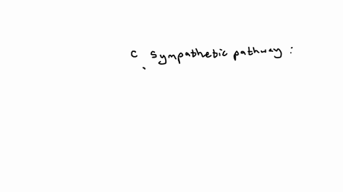 what-is-a-difference-between-sympathetic-pathways-with-two-neurons-compared-to-adrenal-sympathetic-pathways-question-4-options-a-one-has-a-preganglionic-neuron-and-the-other-has-a-postganglionic-neuro
