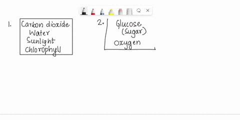 photosynthesis-cellular-respiration-labeling-slide-2-lighl-encj9y-7o-co-arn4-5ho-glucote-ho-whlet-oaydem-co-cetn-dioaide-enetuy-pieu-atp-water-70-answer-the-following-questions-about-photosy-46593