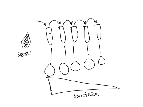 question-10-08-pts-the-goal-of-the-serial-dilution-and-crowded-plate-technique-is-to-separate-the-microbes-so-we-can-count-their-colony-forming-units-true-false-01879