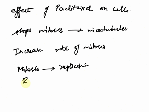question-32-2p6-wtut-b-the-elfect-ol-pachtaxel-on-celks-sen-mlovi-by-vbaing-mcrotubulci-hatri-uic-rte-mioth-stoo-mtott-6y-ererrntins-dna-rephicatian-brrari-doan-dna-rioleculci-drton-euu-enby-53626