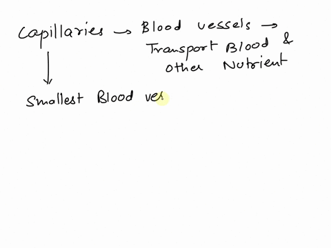 the-question-is-below-capillaries-are-found-in-most-tissues-whereas-like-the-gut-and-kidneys-capillaries-are-found-in-transport-tissues-fenestrated-sinusoidal-continuous-fenestrated-sinusoid-63241