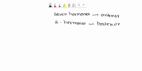 there-are-seven-hormones-produced-and-secreted-by-the-anterior-pituitary-and-two-hormones-secreted-by-the-posterior-pituitary-pick-one-of-these-hormones-and-describe-the-following-what-is-th-61104