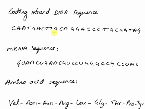 consider-te-coding-strand-dna-sequence-nithin-an-exon-bel-sha-is-theresulting-mrna-sequence-and-the-amino-acid-sequence-use-the-dictionary-provided-above-caatgacttgcaggaccctgcggtag-caugacuuc-60954