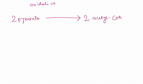 which-of-the-following-is-a-product-of-glycolysis-that-is-then-used-as-a-reactant-during-the-citric-acid-cycle-stage-of-cellular-respiration-select-all-that-apply-a-atp-b-pyruvic-acids-c-nad-64545