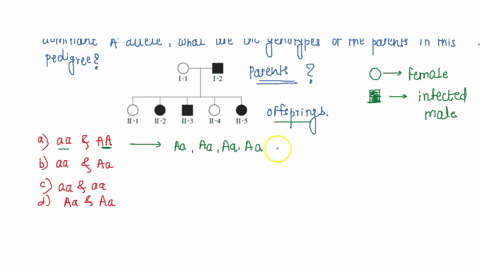 if-this-pedigree-shows-dominant-disorder-caused-by-the-dominant-a-allele-what-are-the-genotypes-of-the-parents-in-this-pedigree-1-1-1-2-m-1-i-2-i-3-i-4-i-5-83046