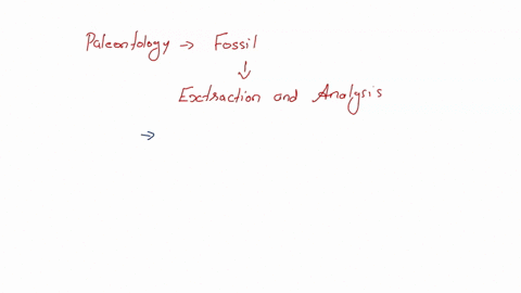 respond-to-the-following-in-what-ways-did-early-paleontologists-shape-our-modern-methods-of-fossil-extraction-and-analysis-what-kind-of-information-could-you-acquire-from-a-single-fossil-wha-93925
