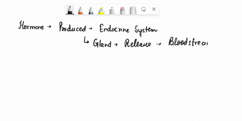 2-a-hormone-that-is-produced-by-the-endocrine-system-targets-specific-cells-ir-many-different-parts-of-the-body-which-of-the-following-mechanisms-explains-the-best-way-for-the-hormone-to-eff-38452