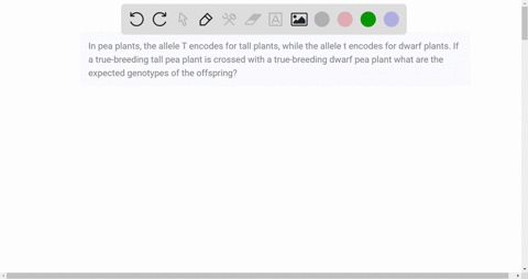 in-pea-plants-the-allele-t-encodes-for-tall-plants-while-the-allele-t-encodes-for-dwarf-plants-if-a-true-breeding-tall-pea-plant-is-crossed-with-a-true-breeding-dwarf-pea-plant-what-are-the-73794
