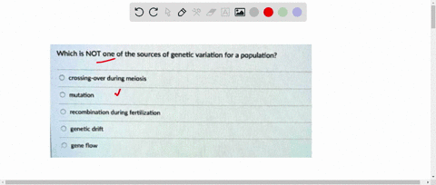 question-8-15-pts-which-is-not-one-of-the-sources-of-genetic-variation-for-population-crossing-over-during-meiosis-mutation-recombination-during-fertilization-genetic-drift-gene-flow-84114