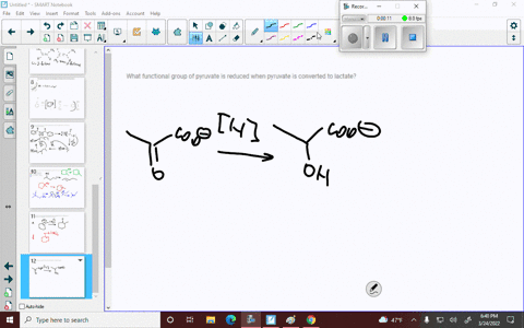 what-functional-group-of-pyruvate-is-reduced-when-pyruvate-is-converted-to-lactate-3-30482