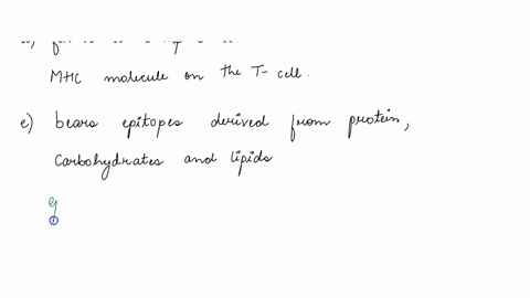 t-cells-recognize-antigen-when-the-antigen-a-forms-a-complex-with-membrane-bound-mhc-molecules-on-another-host-derived-cell-b-is-internalized-by-t-cells-via-phagocytosis-and-subsequently-bin-44917