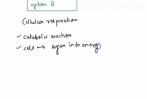 on-average-how-many-atps-are-produced-theoretical-yield-as-a-result-of-the-complex-breakdown-of-one-molecule-of-glucose-into-co2-and-h2o-question-56-options-a-2-b-32-c-3-d-36-88268