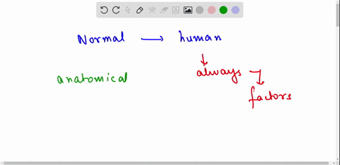youve-learned-the-anatomy-and-physiology-of-the-cardiovascular-immune-lymphatic-and-respiratory-systems-as-much-as-we-like-to-partition-the-body-into-discrete-units-systems-are-often-interde-21395