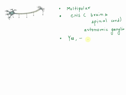 2. Answer the questions based upon the neuron below. 1 2 3 4...