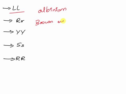 a-ll-e-rr-b-yy-c-ss-d-rr-9-ss-h-yy-45043
