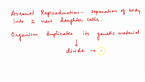 which-of-the-following-is-correct-regarding-binary-fission-select-one-a-it-has-been-hypothesized-that-mitosis-originated-from-binary-fission-b-two-answers-are-correct-c-all-answers-are-wrong-67176