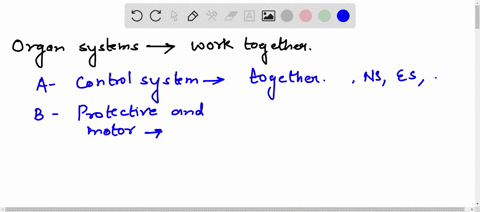 organ-systems-are-complex-units-often-times-they-work-together-to-carry-out-a-particular-function-explain-which-systems-work-together-and-how-they-work-together-as-a-functional-unit-to-maint-07687