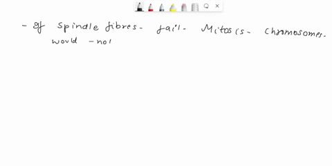 what-would-happen-if-in-the-cell-going-mitosis-fails-to-form-the-spindle-fibres-04655