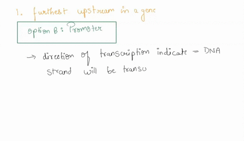 1-of-the-following-which-is-the-furthest-upstream-in-a-gene-a-intron-b-promoter-c-stoptermination-codon-d-startinitiation-codon-2-a-persons-exome-represents-their-a-protein-coding-sequences-81463