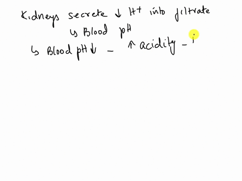 when-the-kidneys-secrete-fewer-hydrogen-ions-into-the-filtrate-how-would-blood-ph-affected-blood-ph-increases-blood-ph-will-increase-and-then-decrease-blood-ph-will-remain-neutral-blood-ph-i-58176