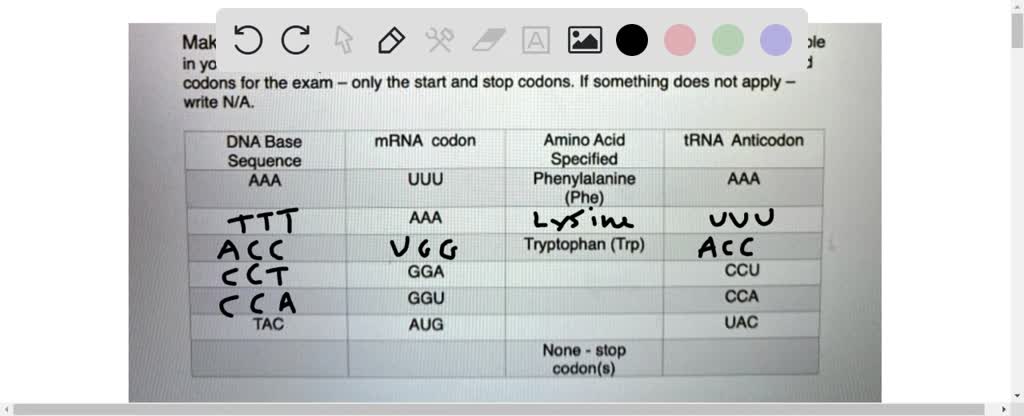 SOLVED: Making Comparisons: Use your lecture notes and the mRNA codon ...
