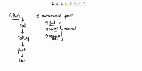 1-how-does-a-seed-become-a-plant-2-would-the-seeds-germinate-if-you-changed-the-environment-3-do-all-seeds-germinate-as-fast-as-wisconsin-fast-plants-4-give-two-reasons-why-a-scientist-would-03255
